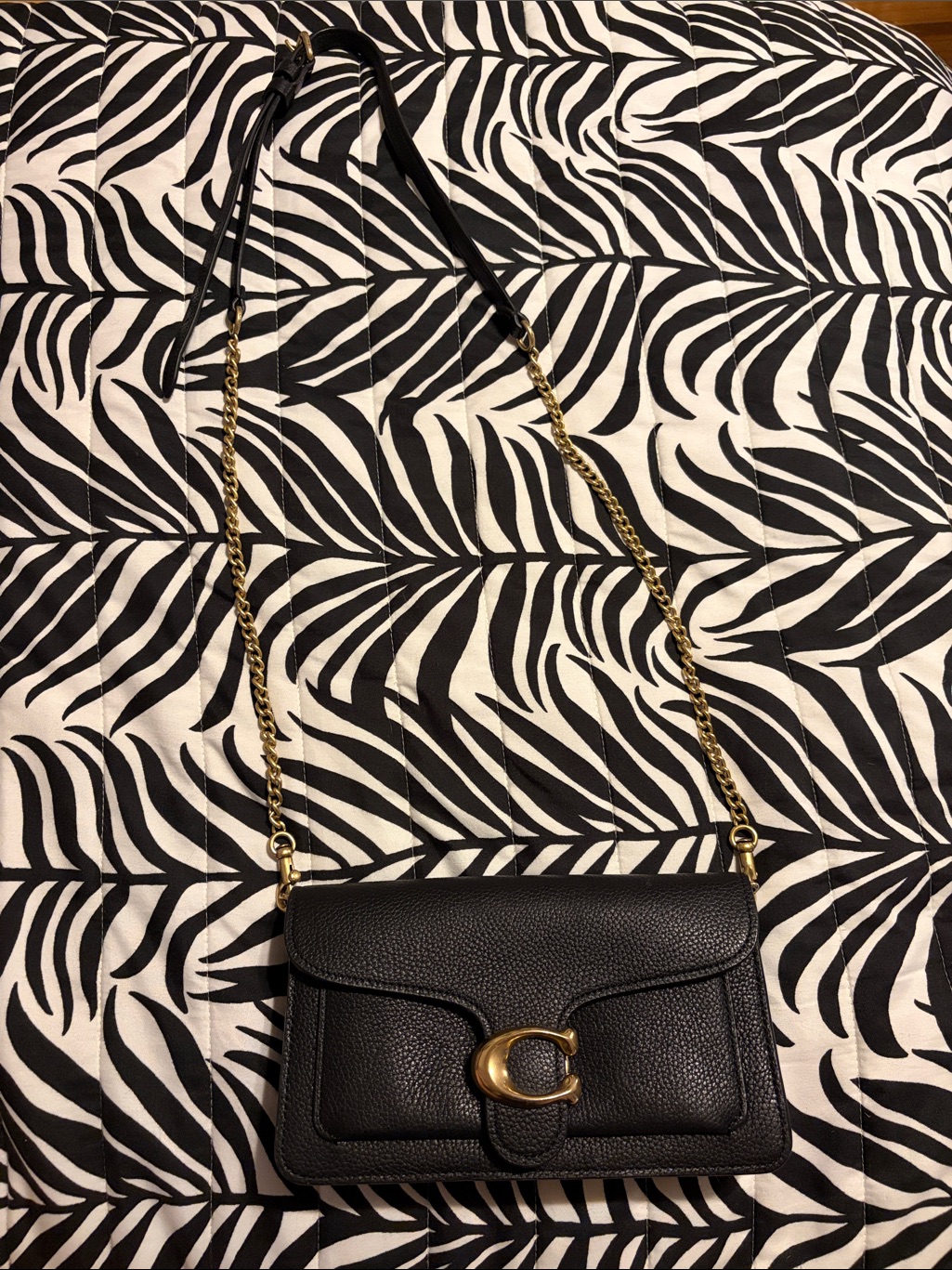 Coach Tabby Chain Crossbody Bag 19